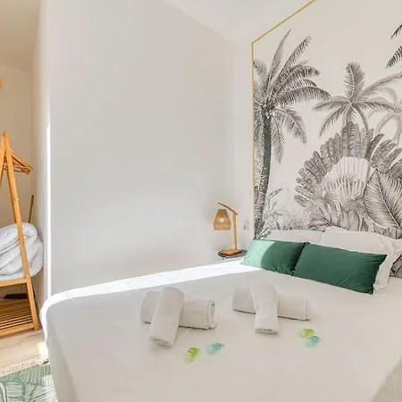 Appartement Esprit Jungle : Equipe, Chambre, Wifi Fibre